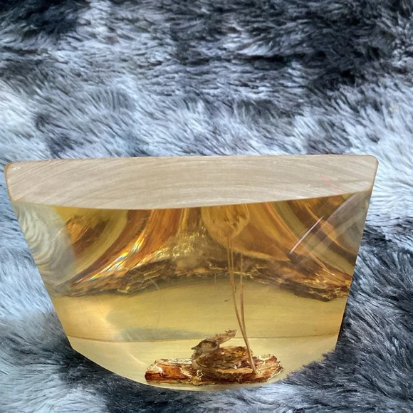 Vintage Lucite Paperweight - Picture 3 of 16